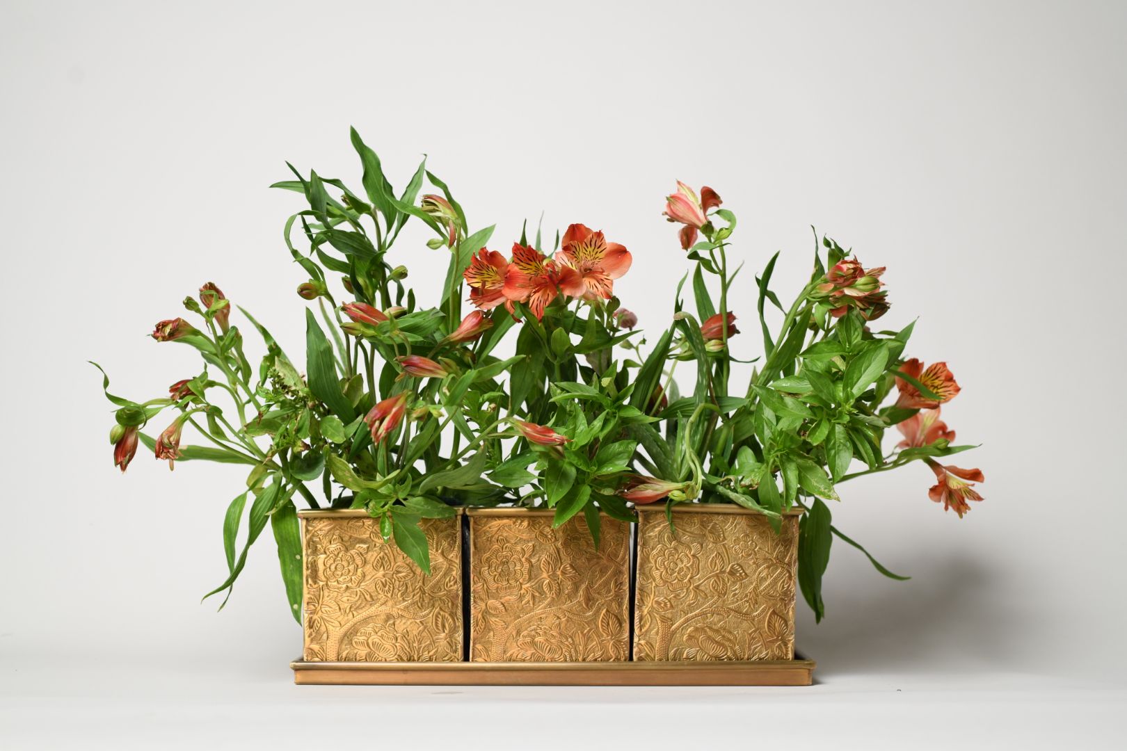 What Is the Best Material for Indoor Planters? Brass, Ceramic, Terracotta & Metal Compared