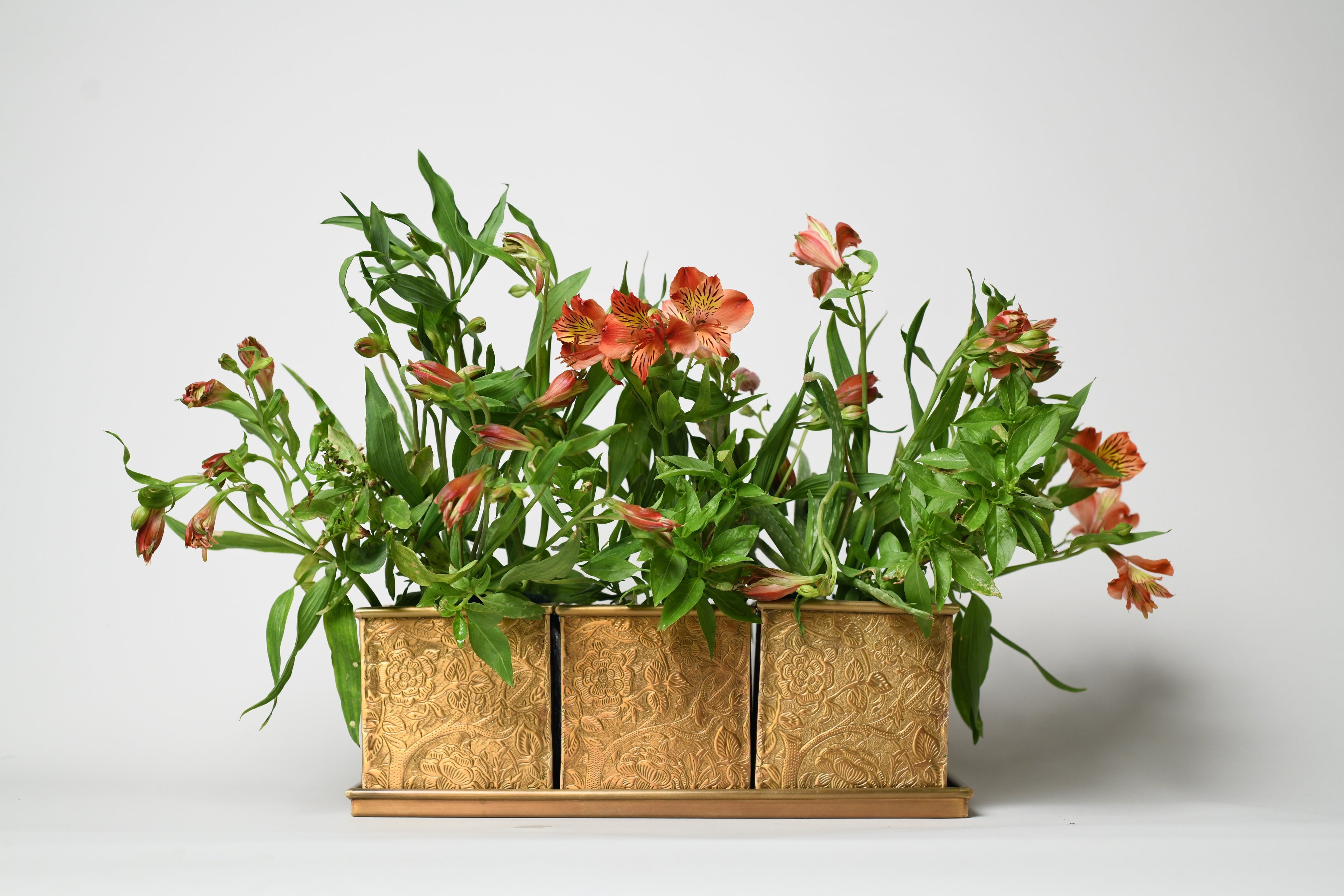 Herb and Bloom Brass Planter - Set of Three