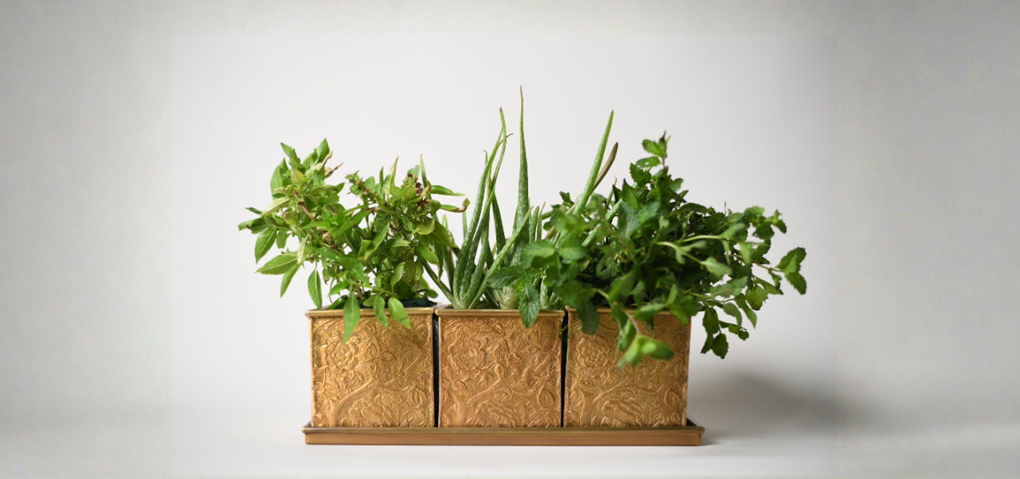 PLANTERS & VASES