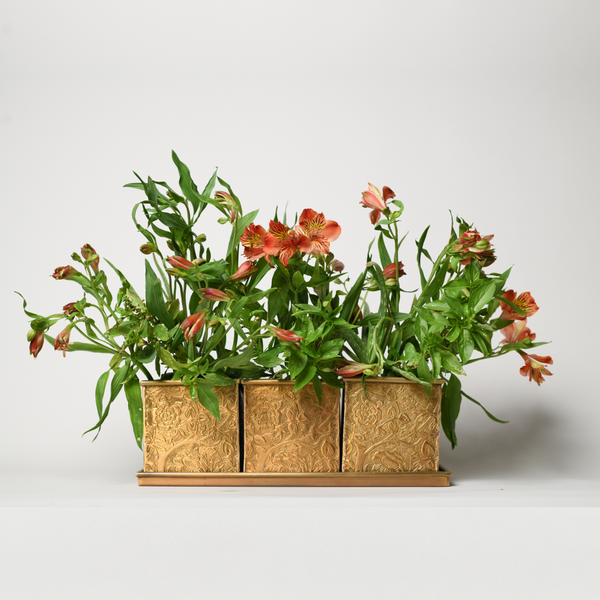 Byaas | Herb & Bloom Handcrafted Planters with Tray, Set of 3, Brass