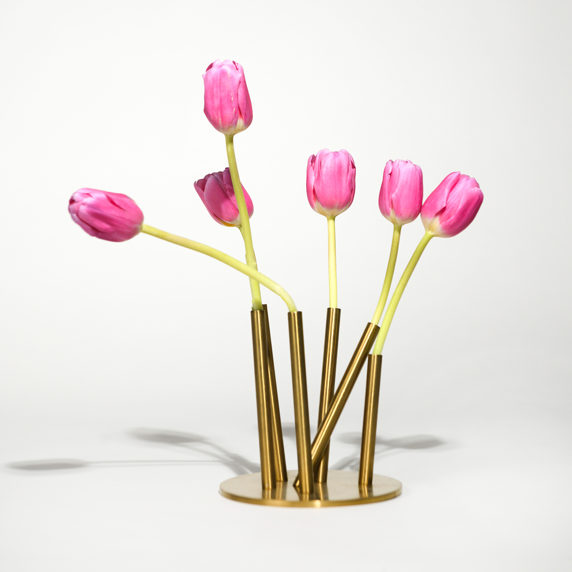 Byaas | Quick-Fix Stem-Support Vase, Brass