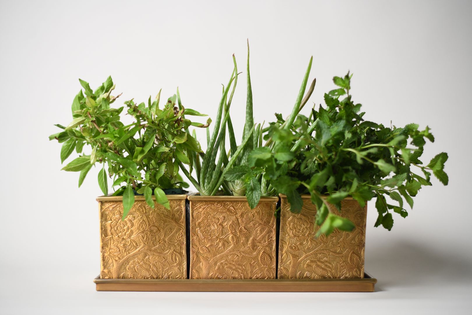 Herb and Bloom Brass Planter - Set of Three