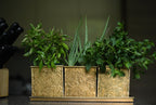 Herb and Bloom Brass Planter - Set of Three