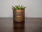 Decorative brass pot with a succulent on a wooden surface