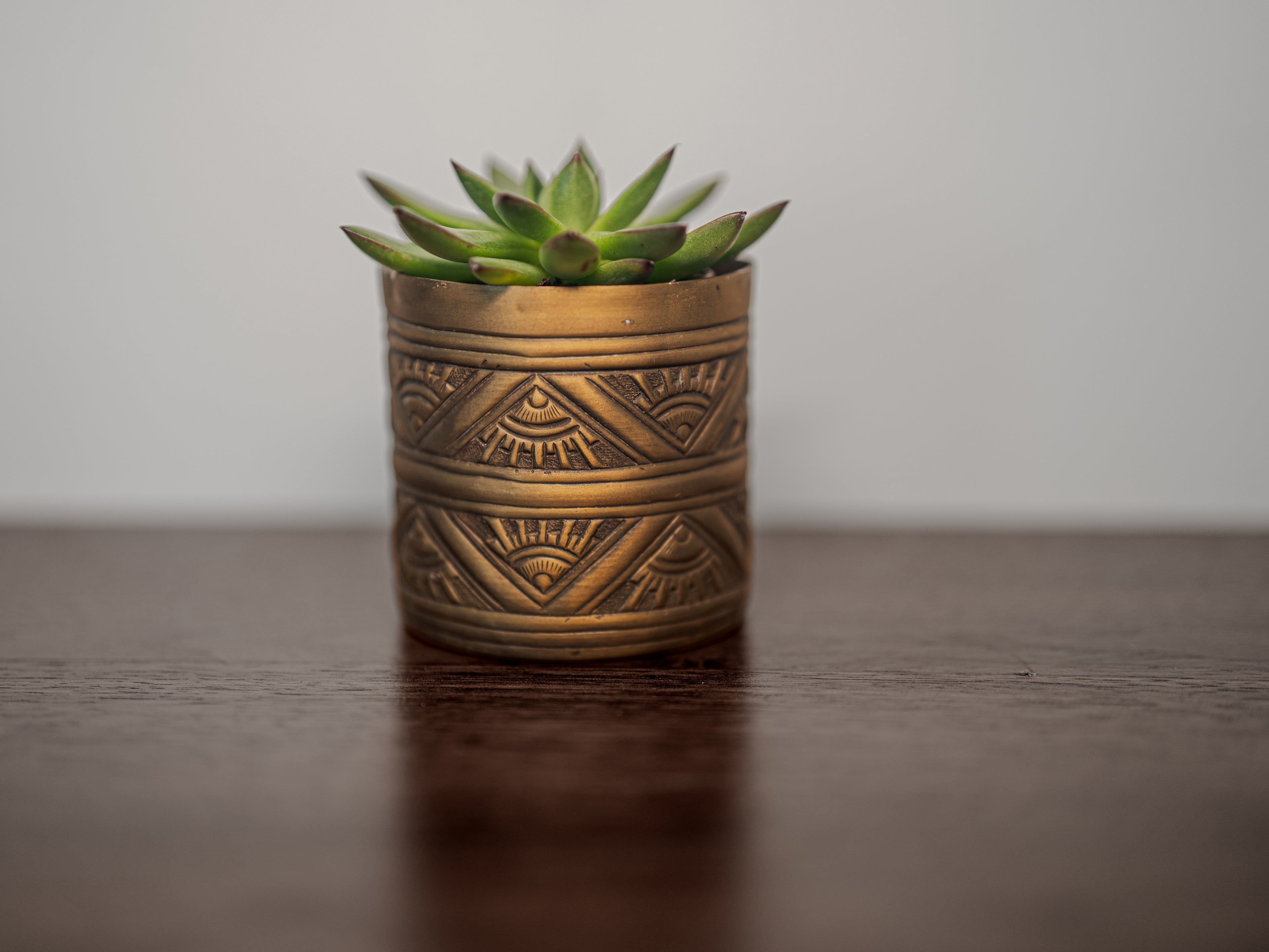 Decorative brass pot with a succulent on a wooden surface
